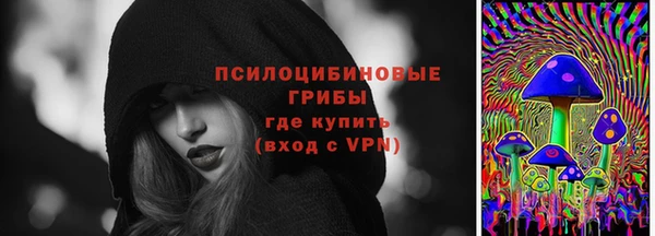 прущий лед Алексин