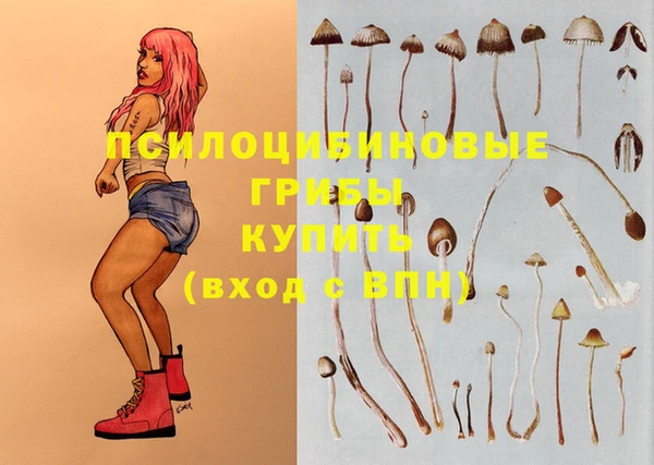 MDMA Premium VHQ Алзамай