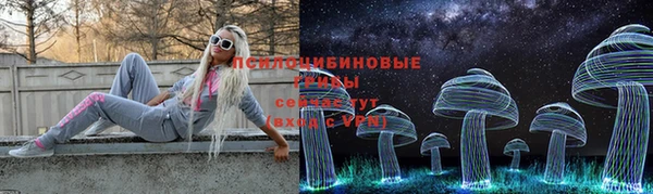 прущий лед Алексин