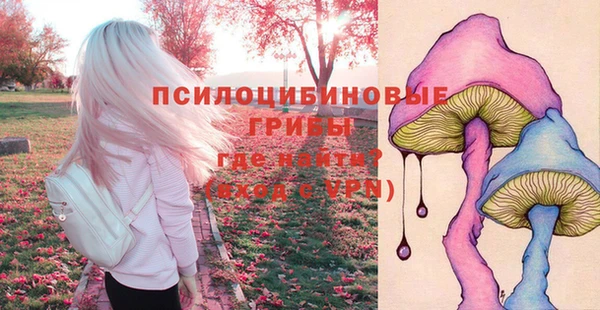а пвп мука Абинск