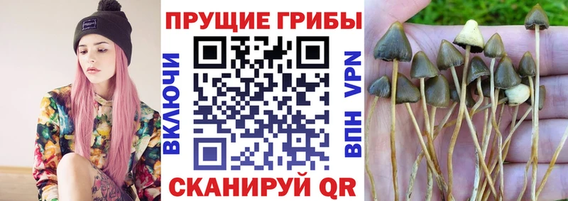 ссылка на мегу маркетплейс  Ливны  Галлюциногенные грибы ЛСД 