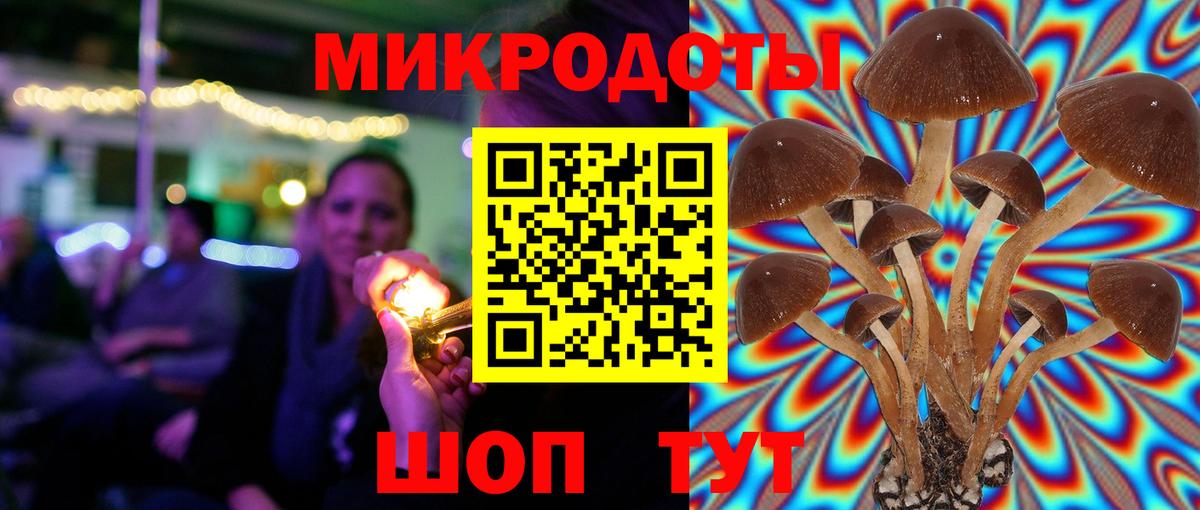 Галлюциногенные грибы Psilocybine cubensis Ливны