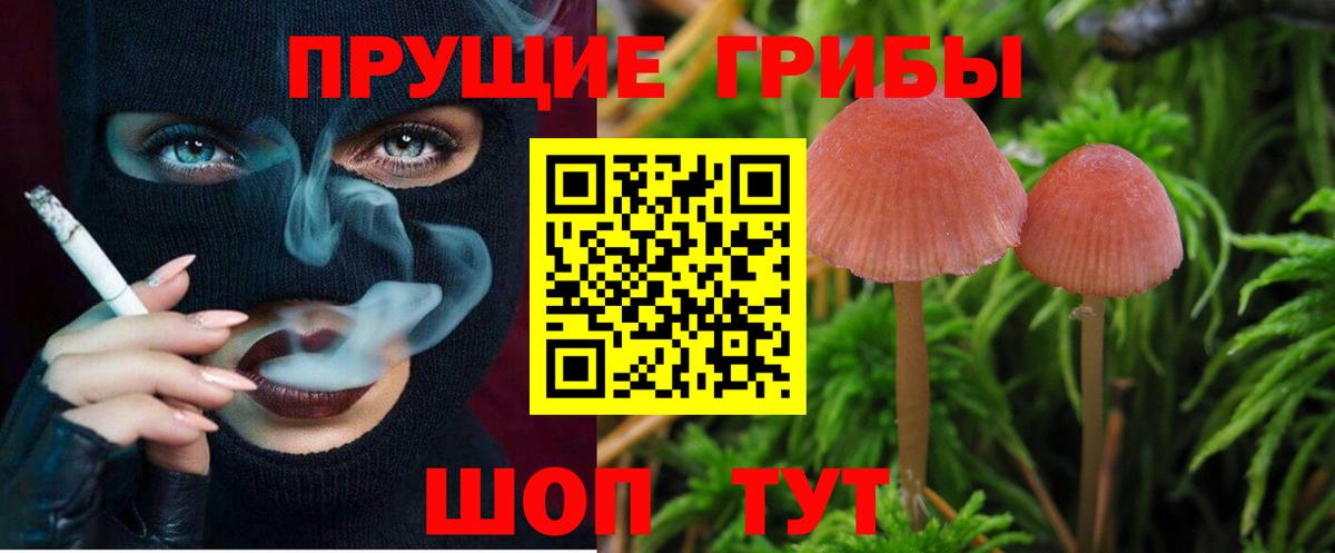Псилоцибиновые грибы Psilocybine cubensis  закладки  Ливны  Вход с VPN 